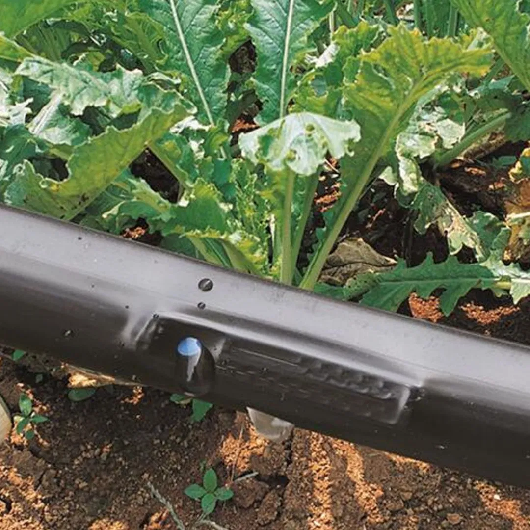 Efficient Irrigation Sprinkler Drip Watering System with Durable PE Pipe