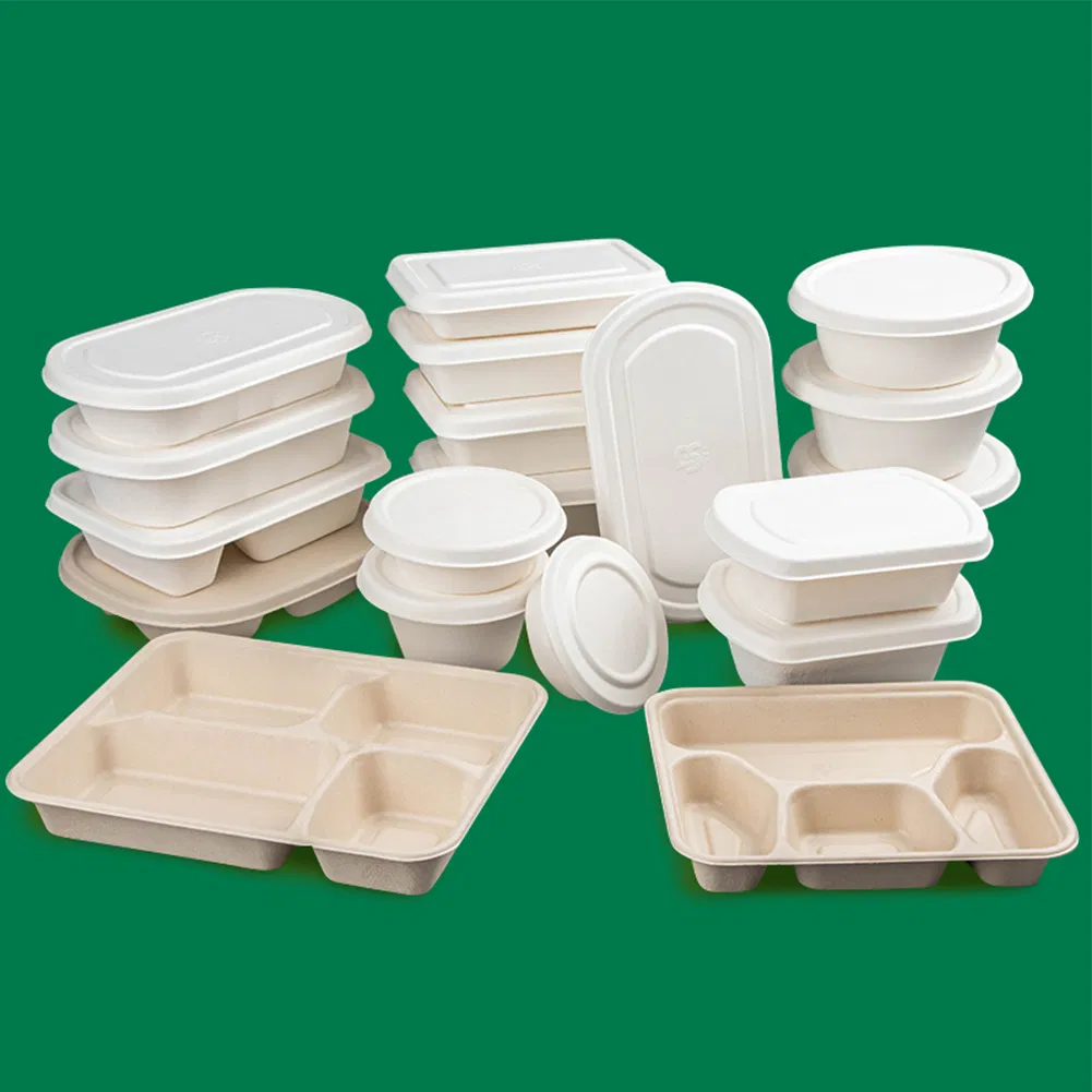 Eco-Friendly Disposable Pulp Meal Box Food Storage