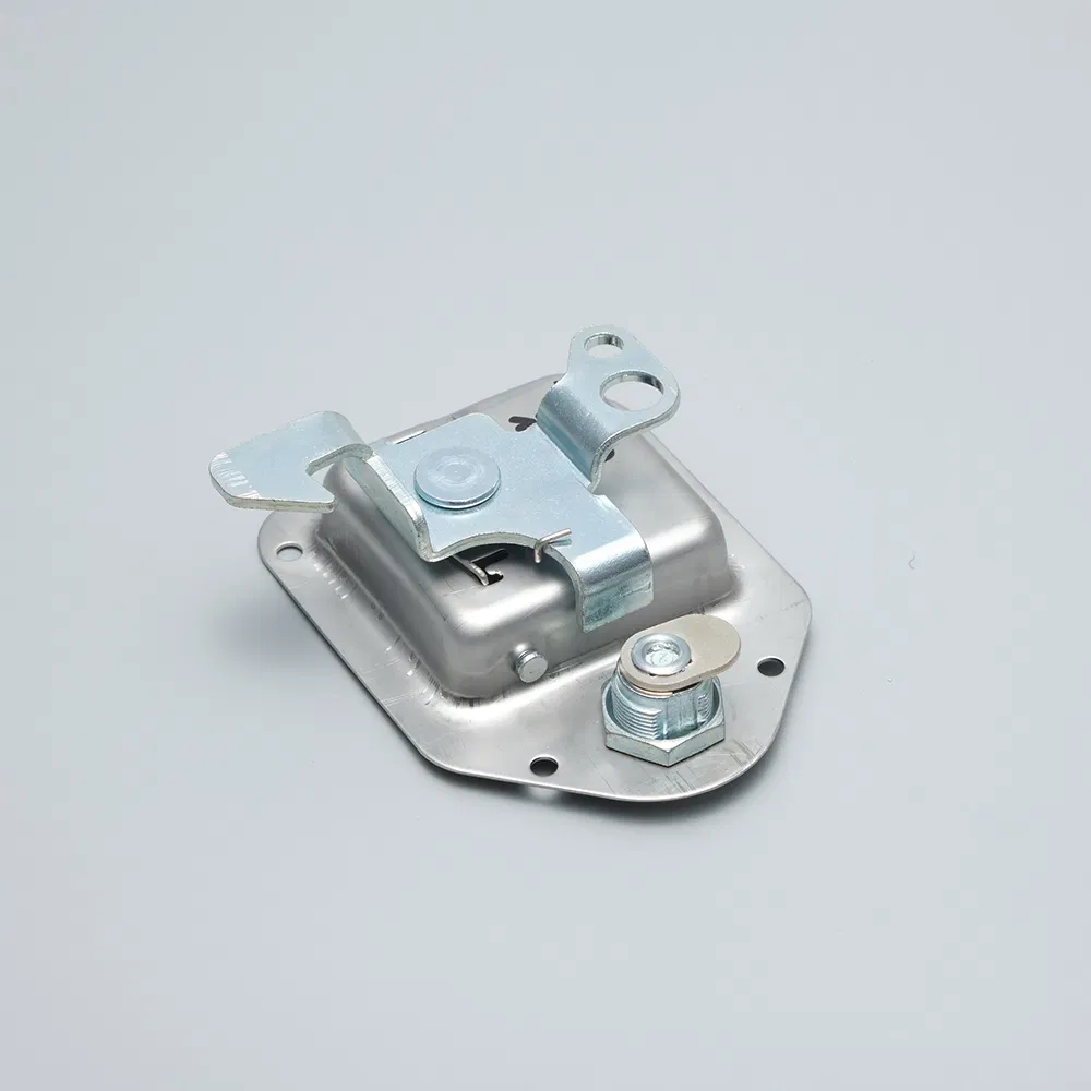 Durable Stainless Steel Paddle Lock for Secure Doors