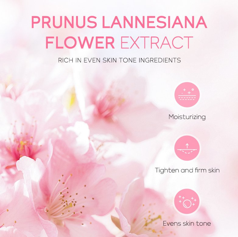 Online Wholesale Ready to Ship Japanese Cherry Blossom Moisturizing Essence Eye Cream Face Cream Three Piece Sets Wholesale