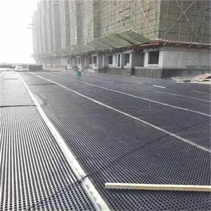 Plastic Drainage Cell Plastic Dimpled Membrane Dimpled Drainage Cell for Roof Grass Garden Compound Board Drain