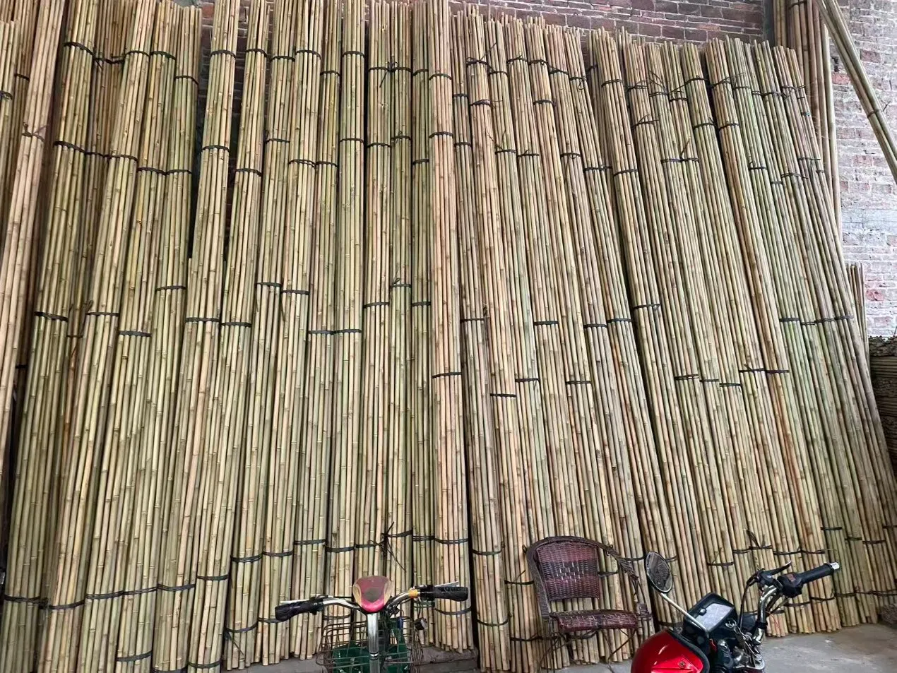 Bamboo Sticks Poles Canes Stakes for Plant Support