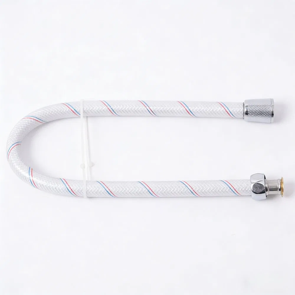 Stylish Brass Shower Hose with Durable PVC for Modern Bathroom Design