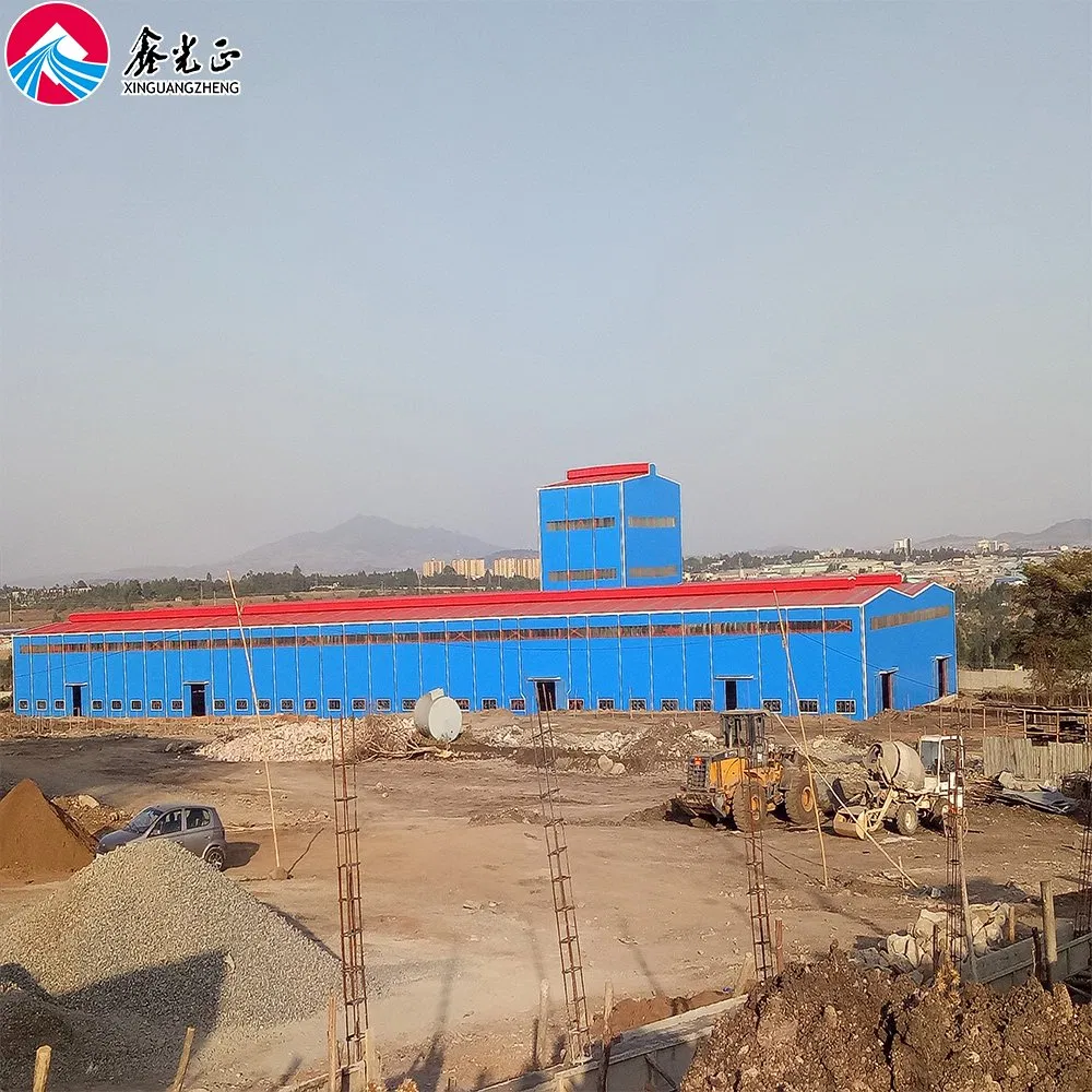 Good Quality Light Steel Structure Prefabricated Building From Manufacturer