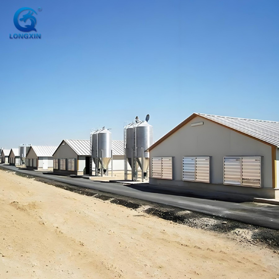 Longxinweiye Steel Works Broiler Poultry Farm House Design Egg Chicken House Building for Layers