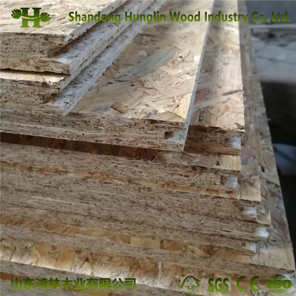 OSB Wood Board Panel- Oriented Strand Board (OSB)