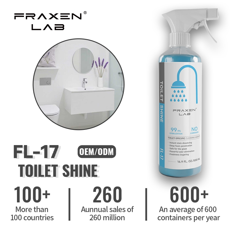OEM / ODM Home Cleaning Product All Purpose Bathroom & Toilet Foam Cleaner for Household Care