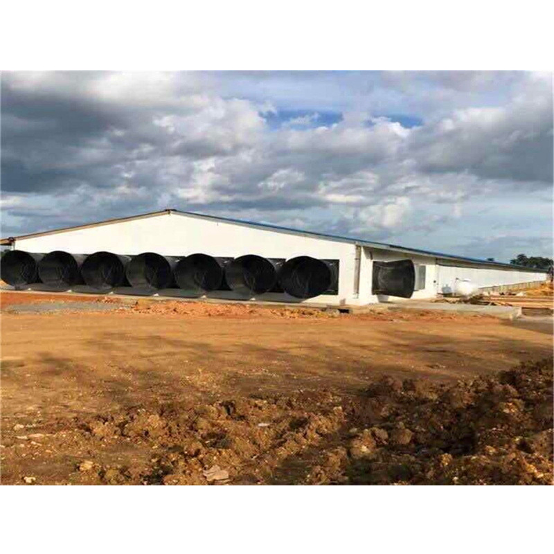 Prefabricated Chicken House Structure Building Poultry Farm Single Color Plate Galvanised