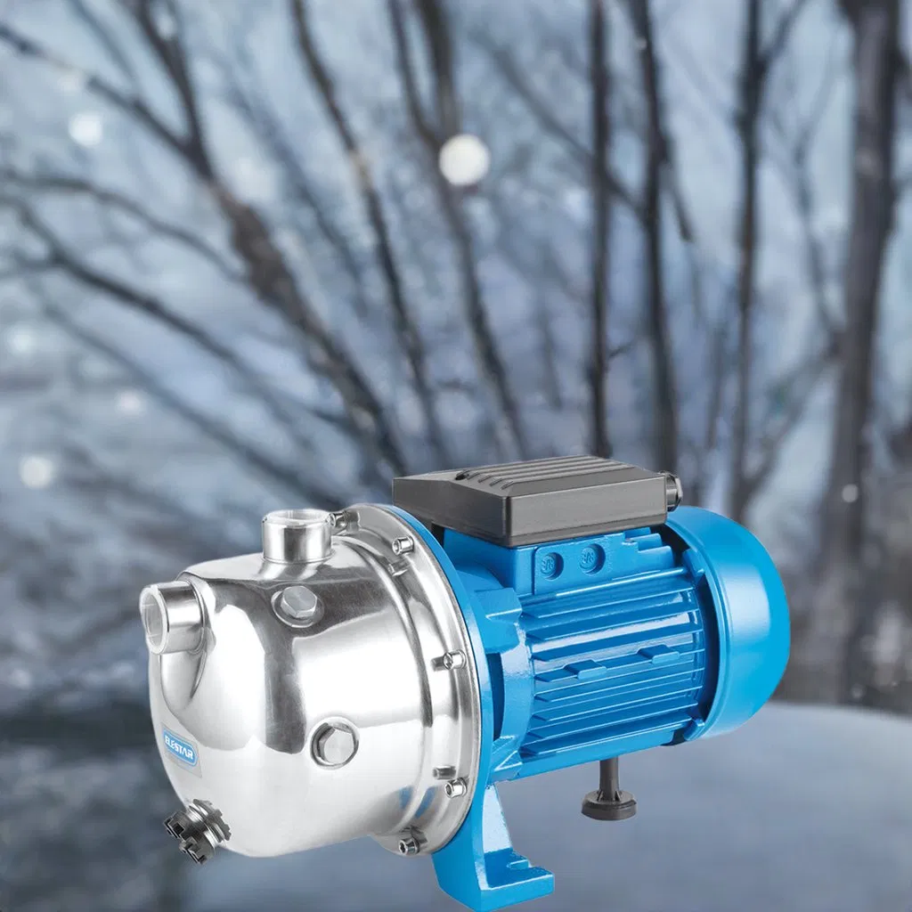 High Quality Head Price Self-Priming 750W 1HP Ss Jet Pumps Js Water Pump