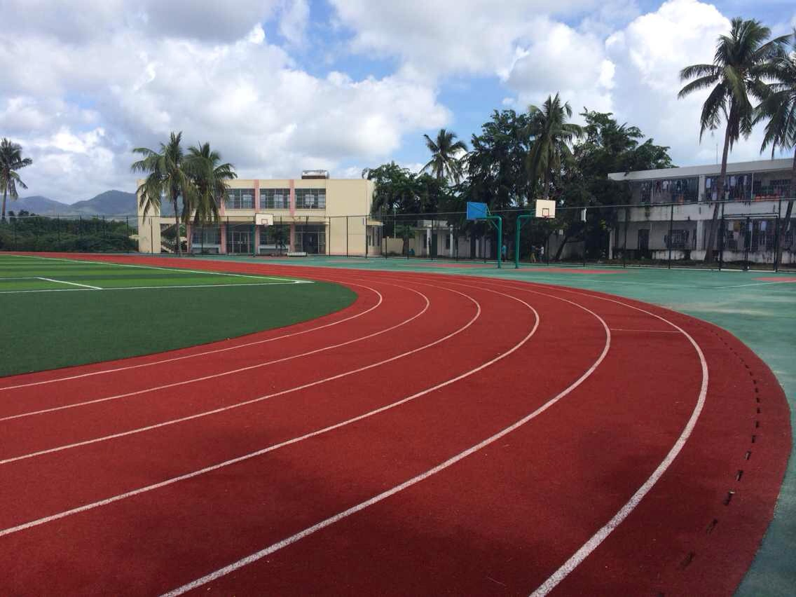 Playground Jogging Running Track Use EPDM Rubber Granule