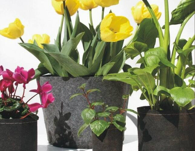 Fiber Planter Bag Hanging Wall Bag for Planting