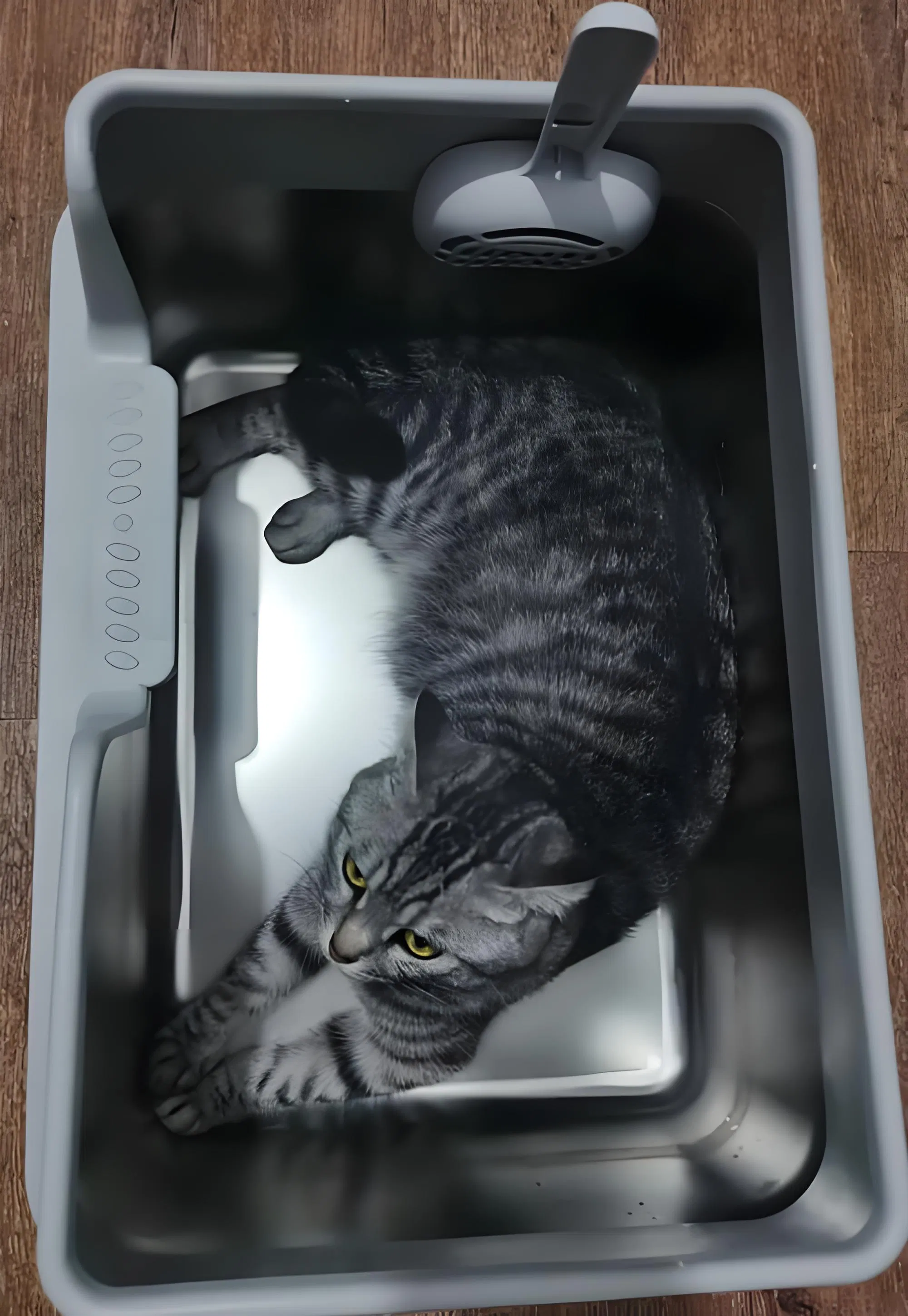 Modern Polypropylene Cat Litter Box for Effortless Cleaning