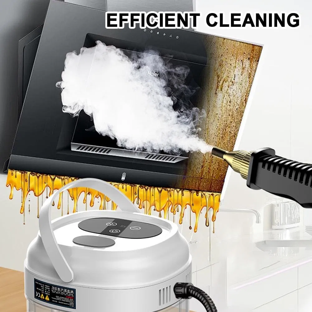 Steam Cleaner for Home Kitchen Car Cleaning Quick Heating High Temperature Steam Washer