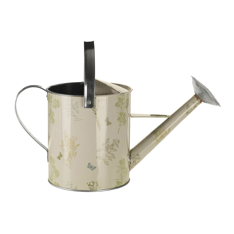 5 Liter Galvanized Watering Can Watering Pot