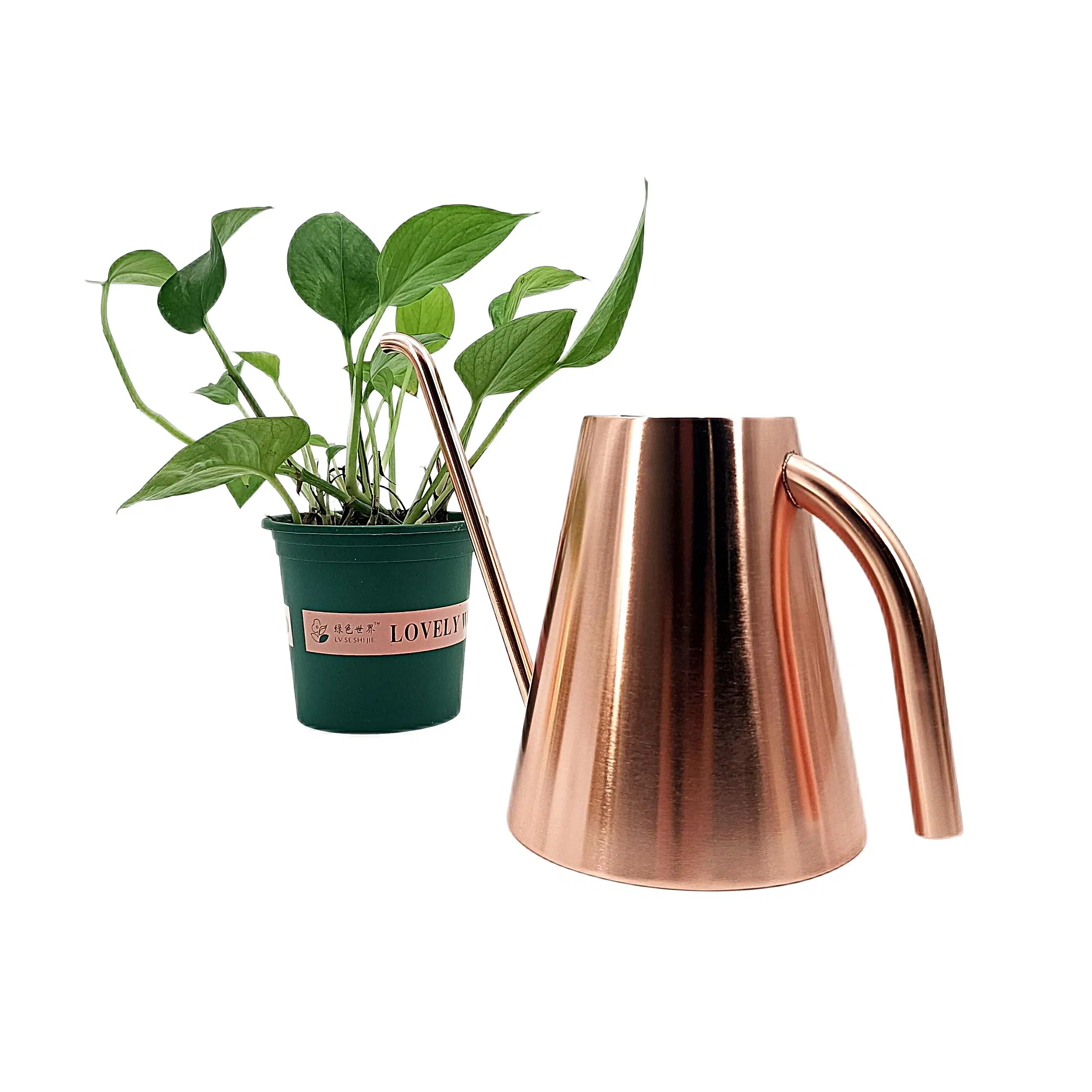 Factory Wholesale 1 Litre Stainless Steel Indoor House Household Plants Large Watering Cans in Bulk