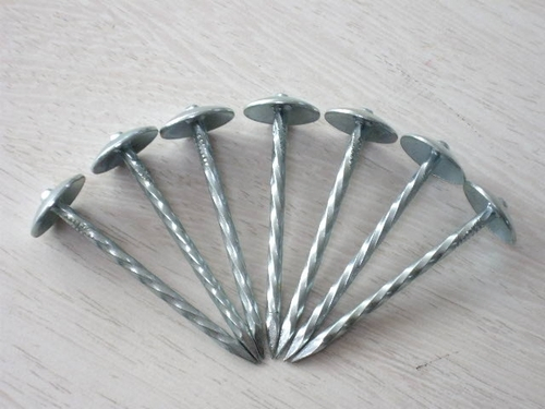 Umbrella Head Twist Shank Galvanized Roofing Nail with Washer (BWG10*2")