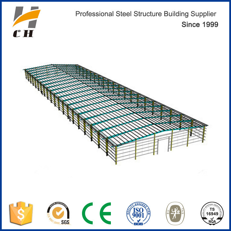 Light Shed Steel Roof Layer Chicken House Design