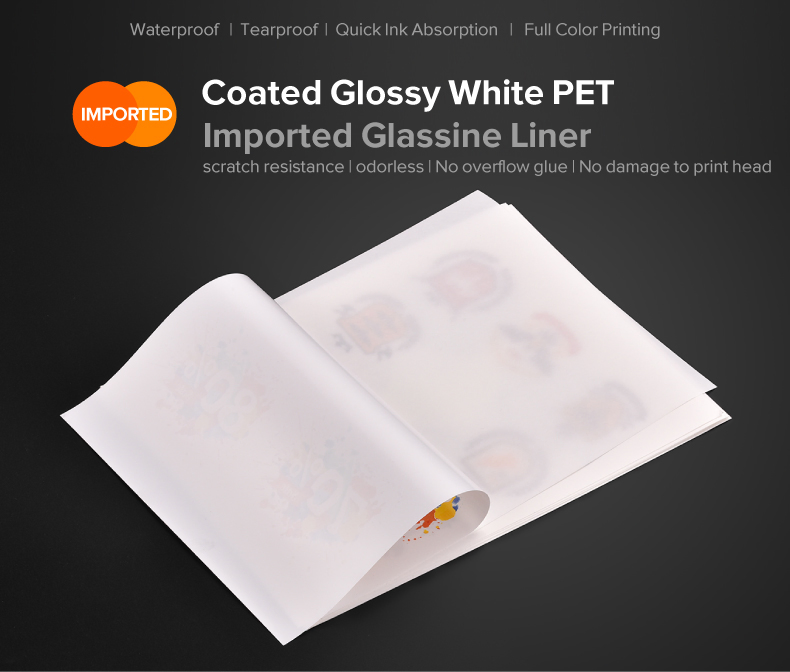 Food Label Opaque Rightint Carton Pet Vinyl Self Adhesive Paper