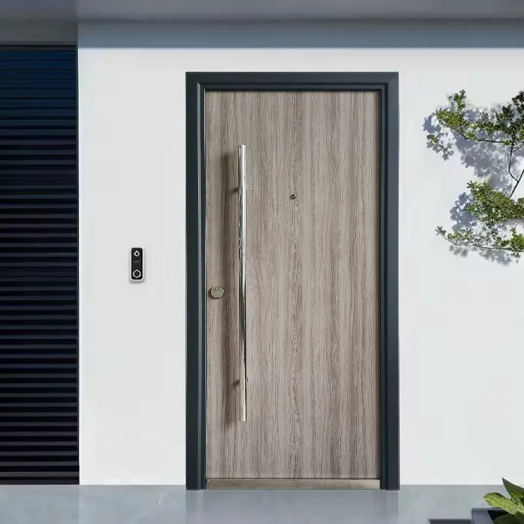 Modern and Stylish Steel Entrance Door for Apartment House Exterior Use