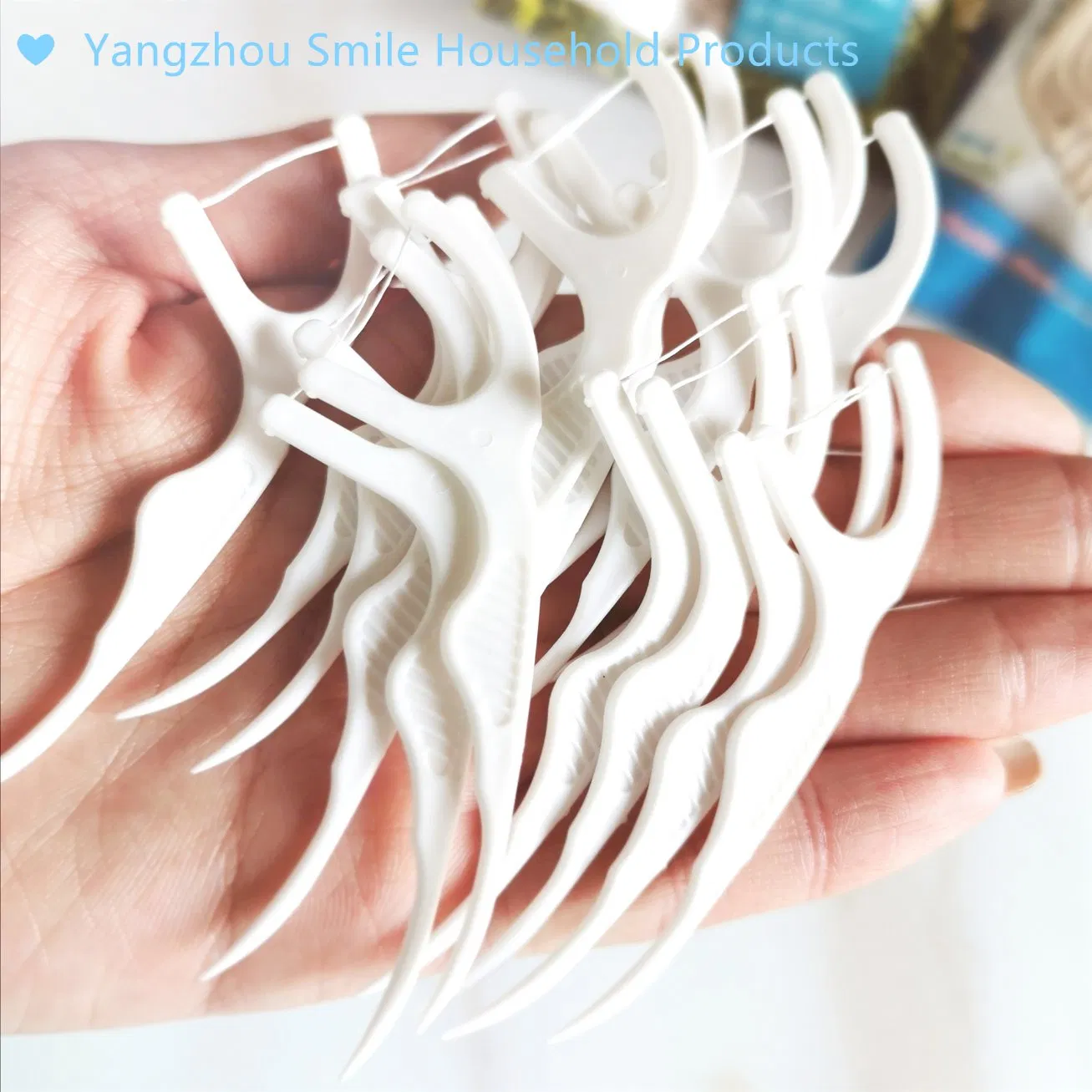 FDA OEM Factory Mint Flavor Dental Floss Pick