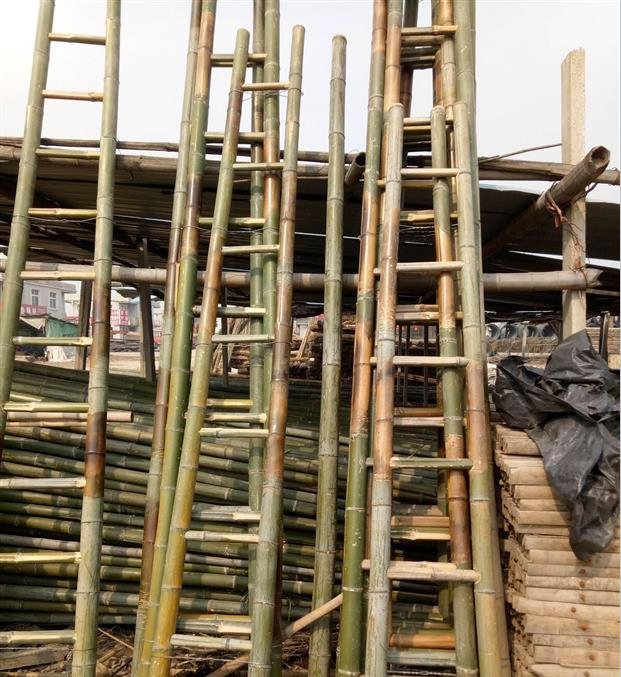 Cheap Moso Bamboo Ladder / Bamboo Steps / Der Insulation Ladders