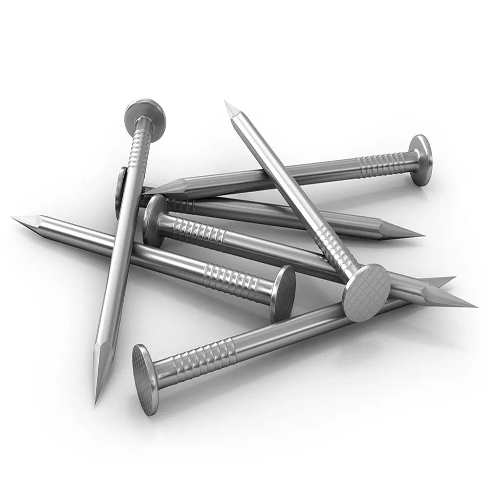 Durable Stainless Steel and Carbon Steel Nail Assortment