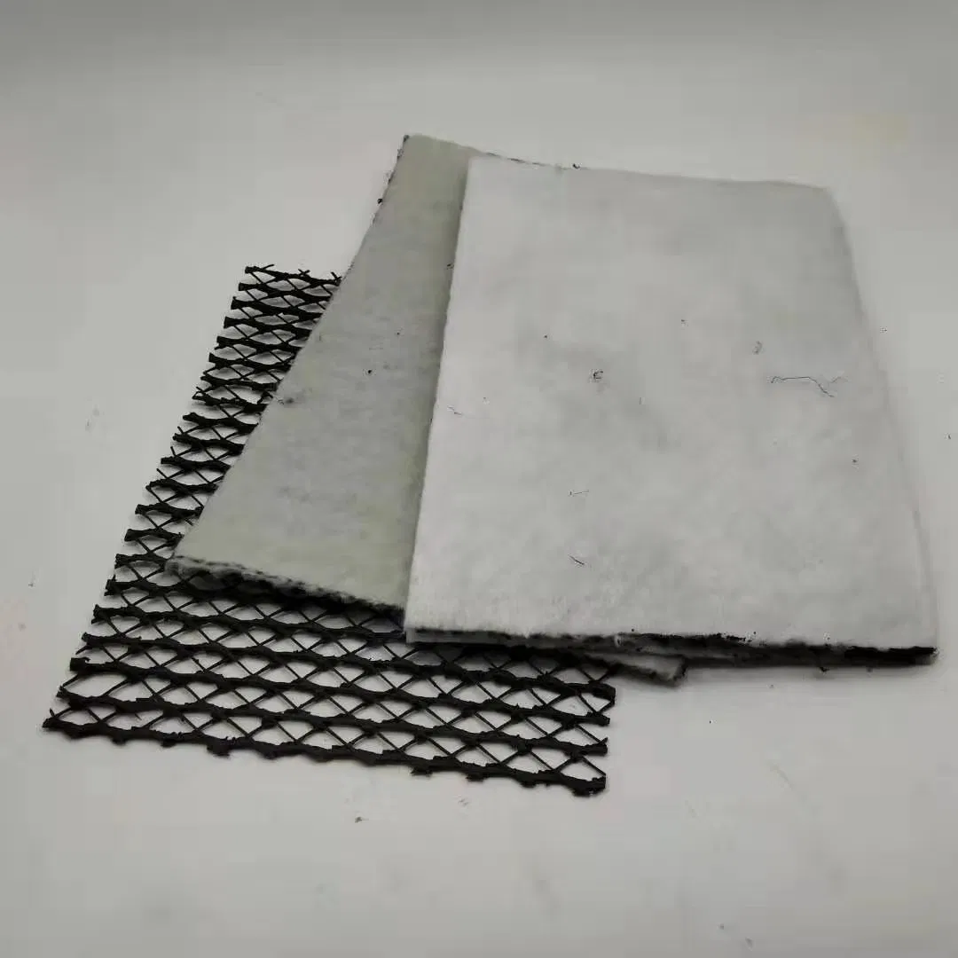 Factory Price HDPE Plasti Board Drainage Sheet Mat/Plastic Drainage Matting 60mm Geonet Roadbed