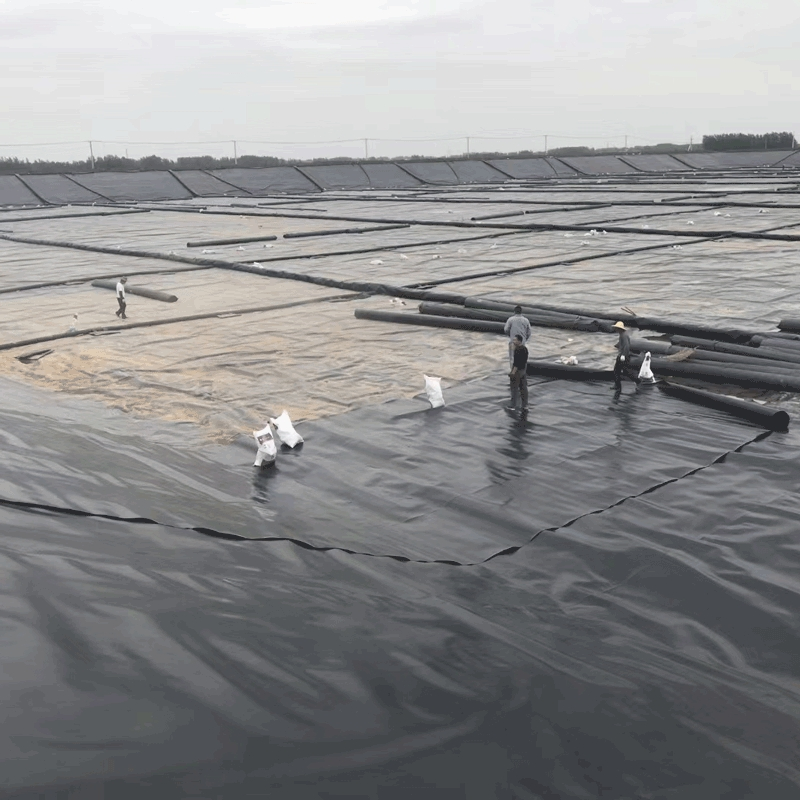 Landfill Fishing Farming Pond Wastewater Lagoons HDPE Geomembrane