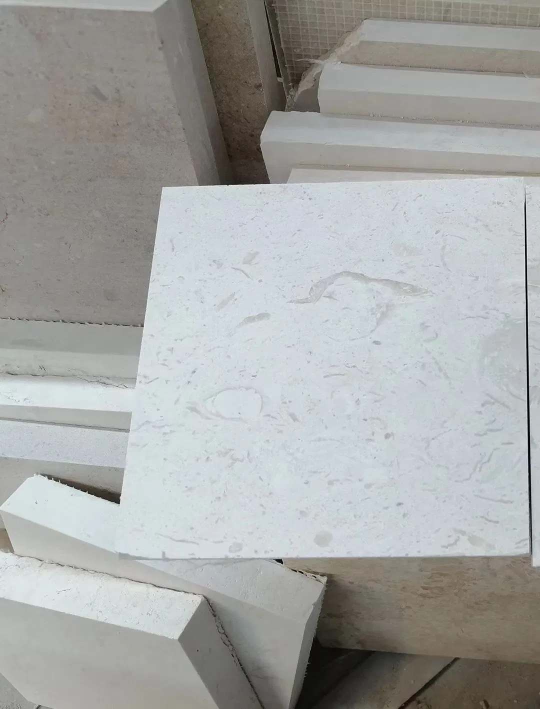 High Quality Natural White Shell Limestone Exterior Wall Cladding