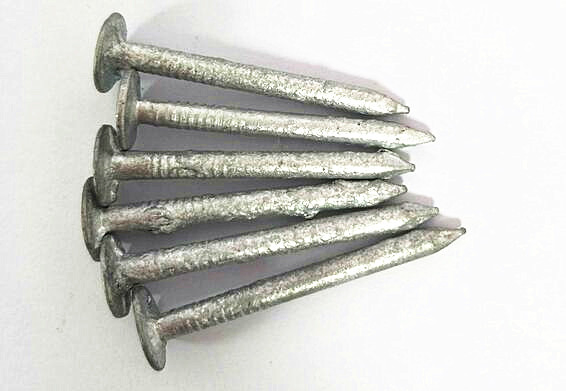 Low Price 25mm X 3 mm Flat Head Roofing Nails/Galvanized Clout Nails for Roofing/Coil Roofing Nails/Cupper Nails/Iron Nails/Galvanized Nails
