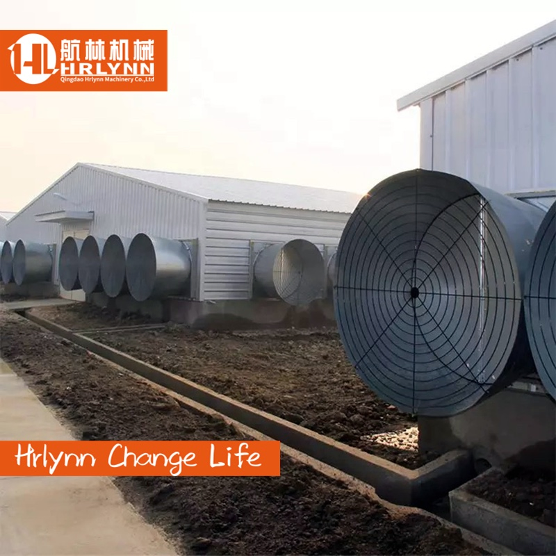 Steel Structure Broiler Chicken Coop House Poultry House