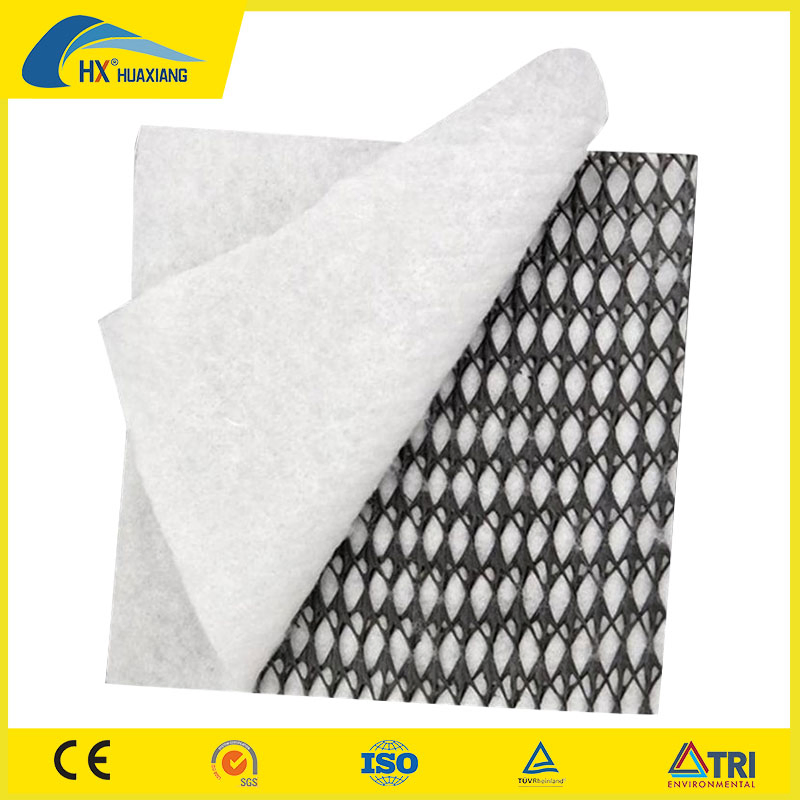 Geosynthetics HDPE Geonet 3D Composite Net Price for Drainage