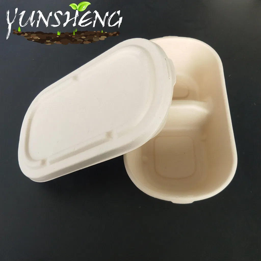 Rectangle White Bamboo Pulp Paper Customzied Compostable Box with Lid