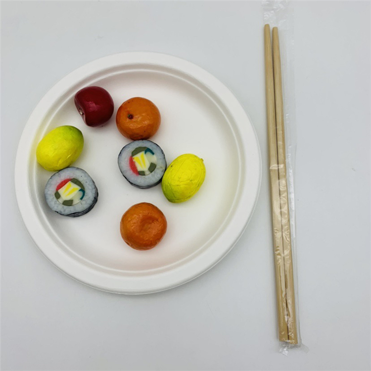 Disposable Bagasse Plates with Chopstick for Restaurant