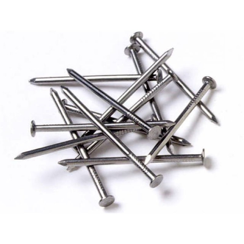 Iron Clavo Best Price Round Head Carbon Steel Iron Wire Nail Common Nails for Wood Furniture