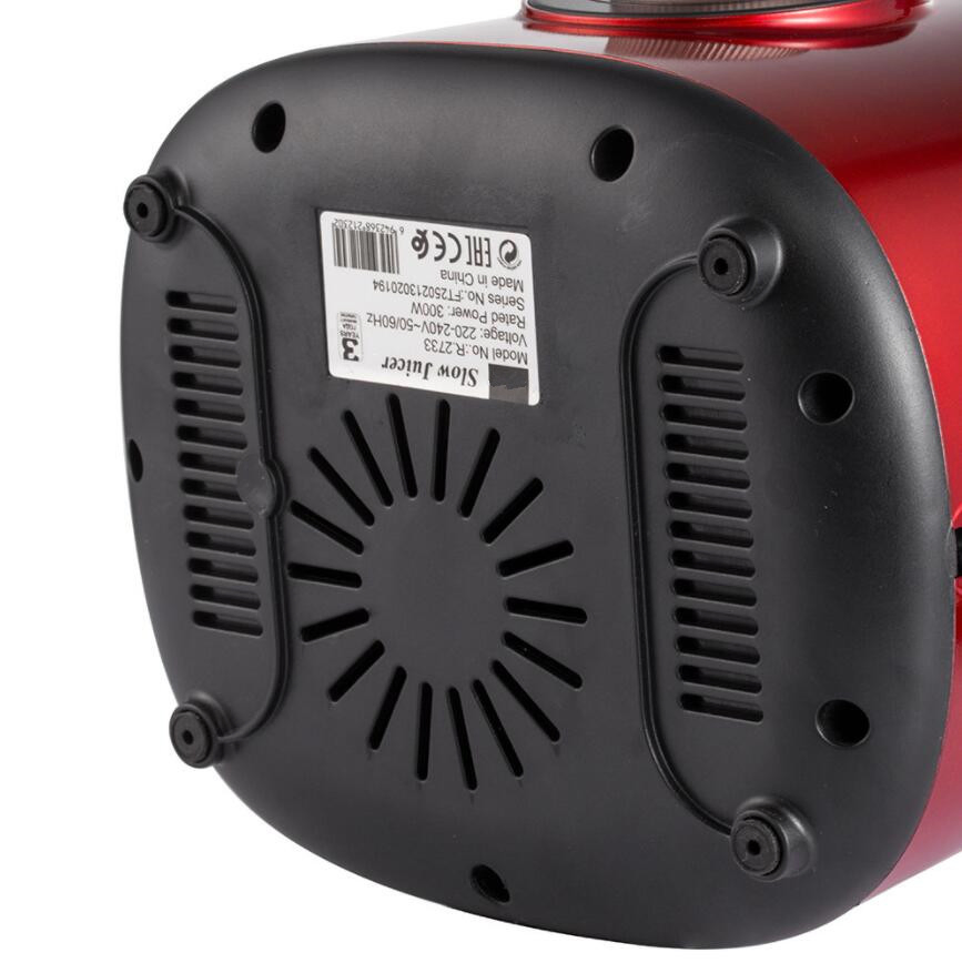 Hot Selling Household Vegetable Slow-Speed Juicer