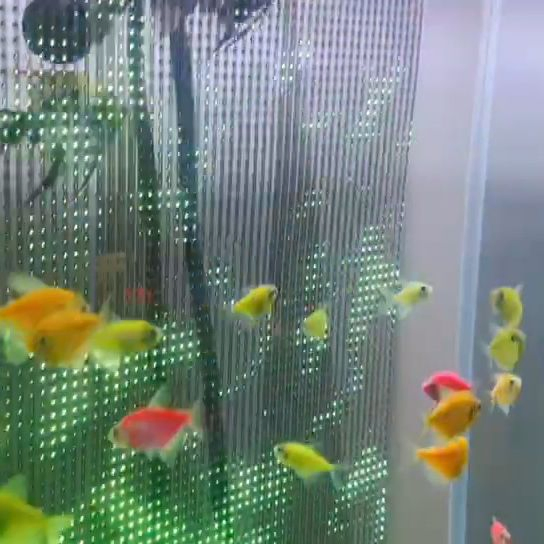 LED Underwater Screen, Transparent Screen, High-Definition, High Brightness, Easy to Install, Customizable
