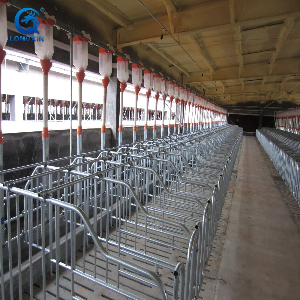 Prefabricated Steel Structure Pig House Farm Pig Farrowing Crate Piggery Shed Design for 100 Pigs