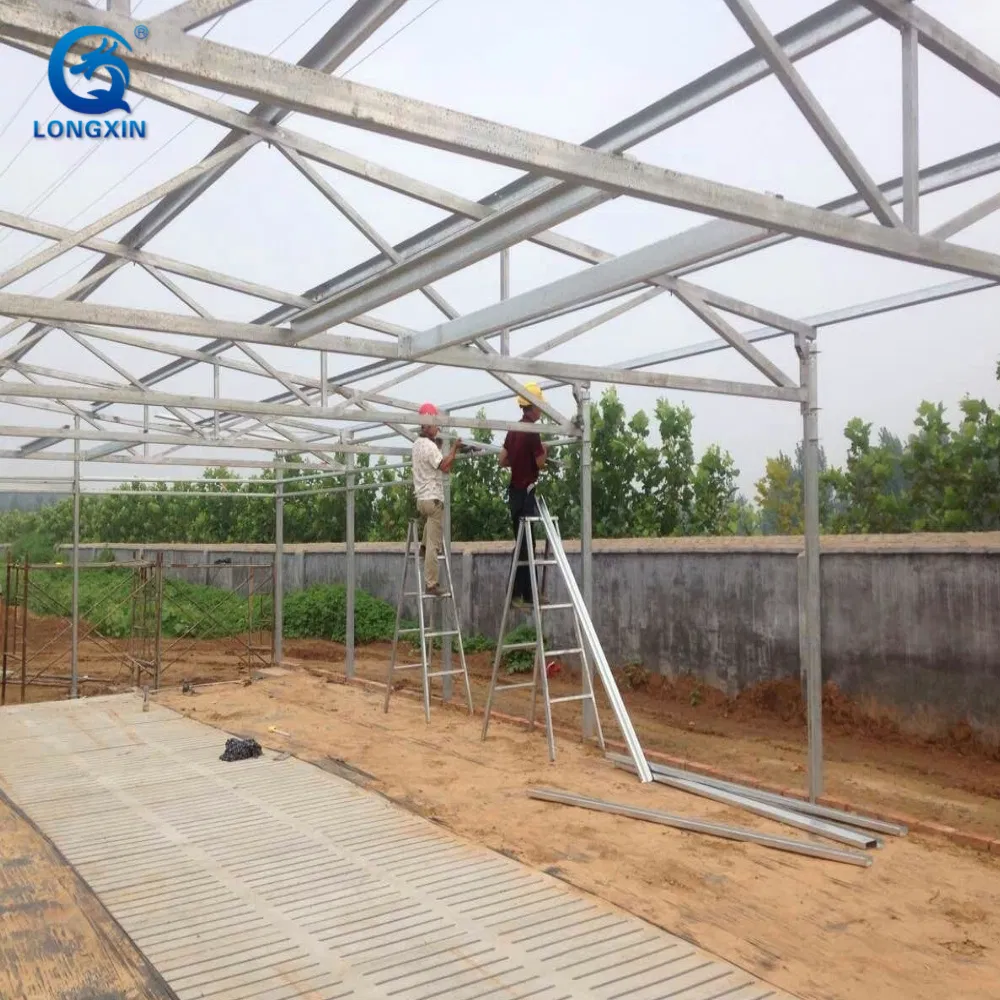 Easy Build Light Steel Steel Structure Prefabricated Pig Breeding Farm Livestock Building House