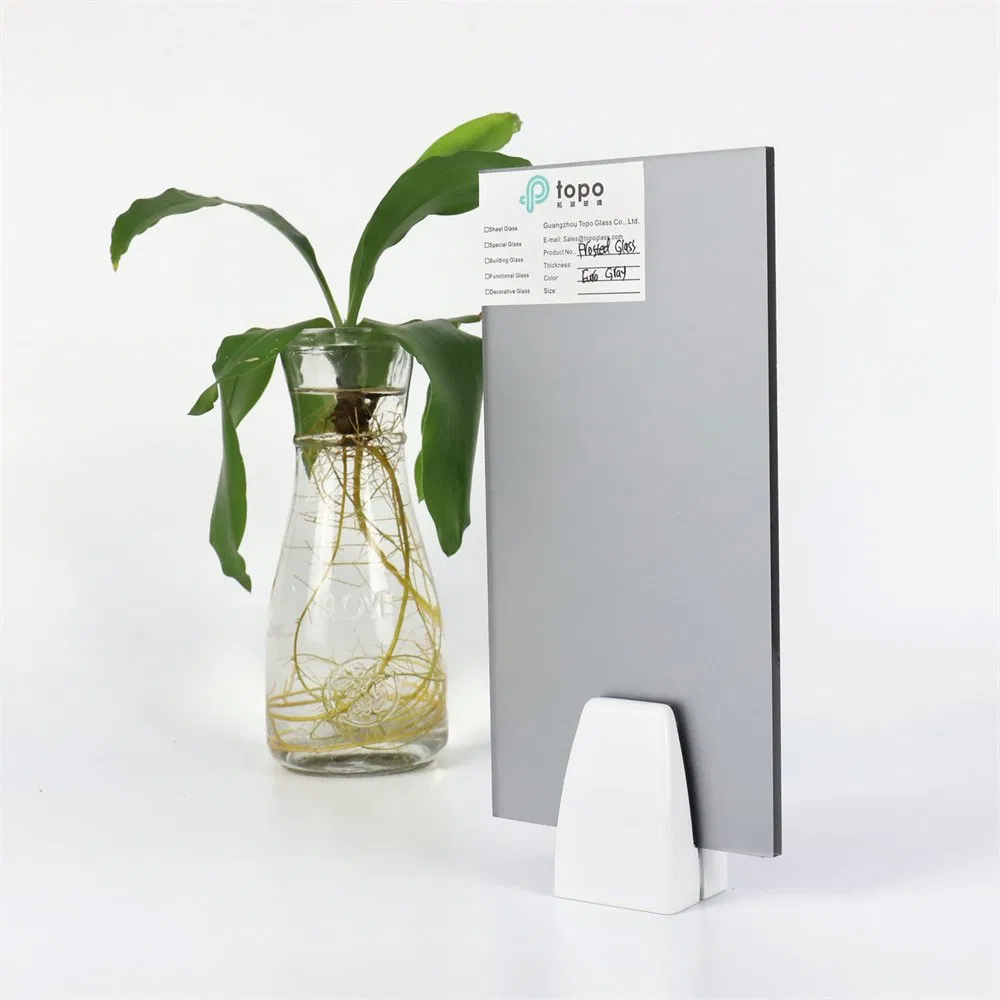 4mm 5mm 6mm 8mm 10mm 12mm Euro Gray Acid Etching Frosted Glass (FG-TP)