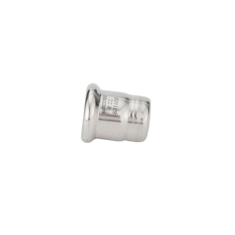 Stainless Steel Pipes and Fittings Caps 304 316L