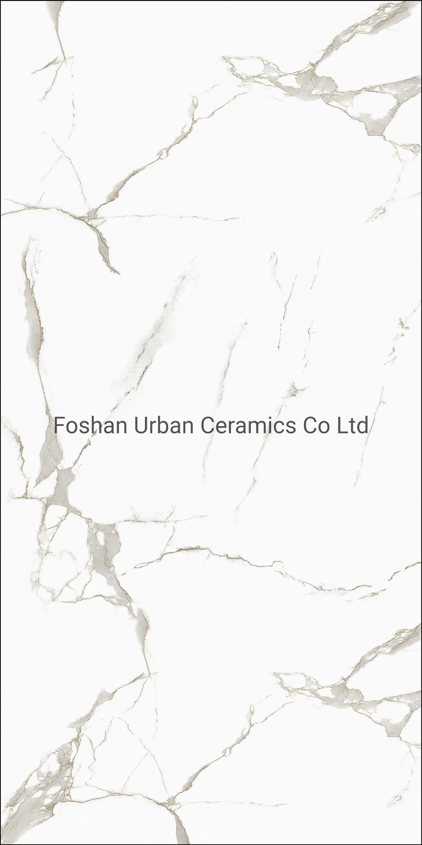 Tb612001 Foshan Caracatta White Carara White Color Decoration 600X1200mm Full Body Glazed Polished Porcelain Marble Floor Wall Tile