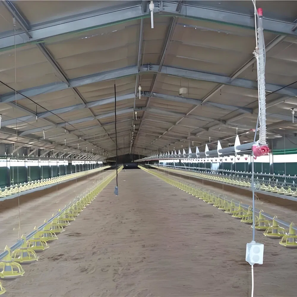 Strong Adaptability Rodent Proof Prefabricated Steel Structure Chicken Farm