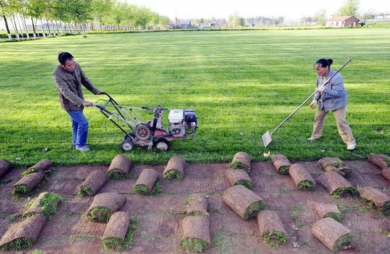 Бензиновый газонокосилка-дернорез Usewell 9 л.с.