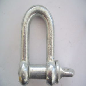 High Quality Stainless Steel DIN Type Dee Shackle 304