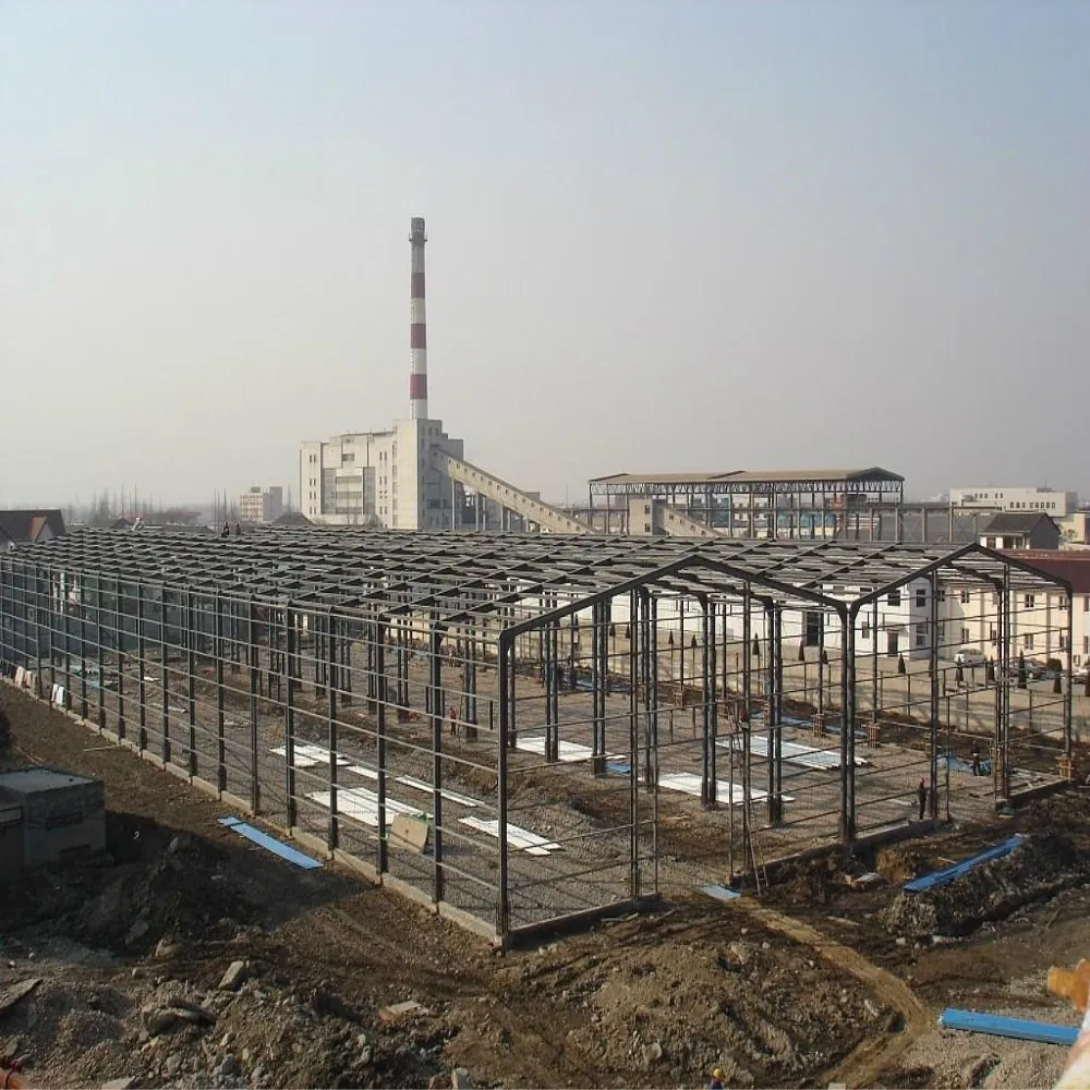 Light Steel Space Frame Structure for Coal Storage