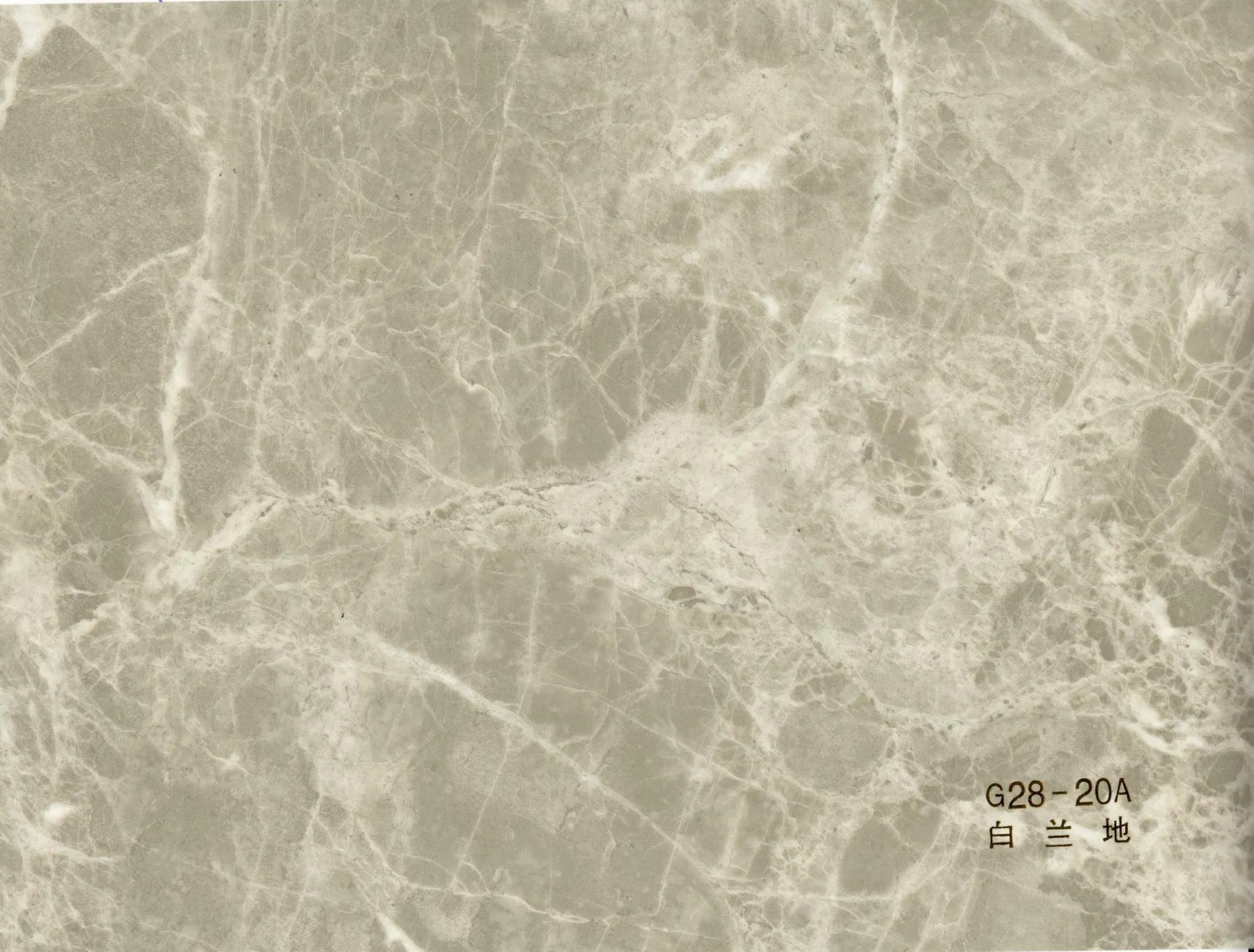 PVC Film Laminated Paper for Walls