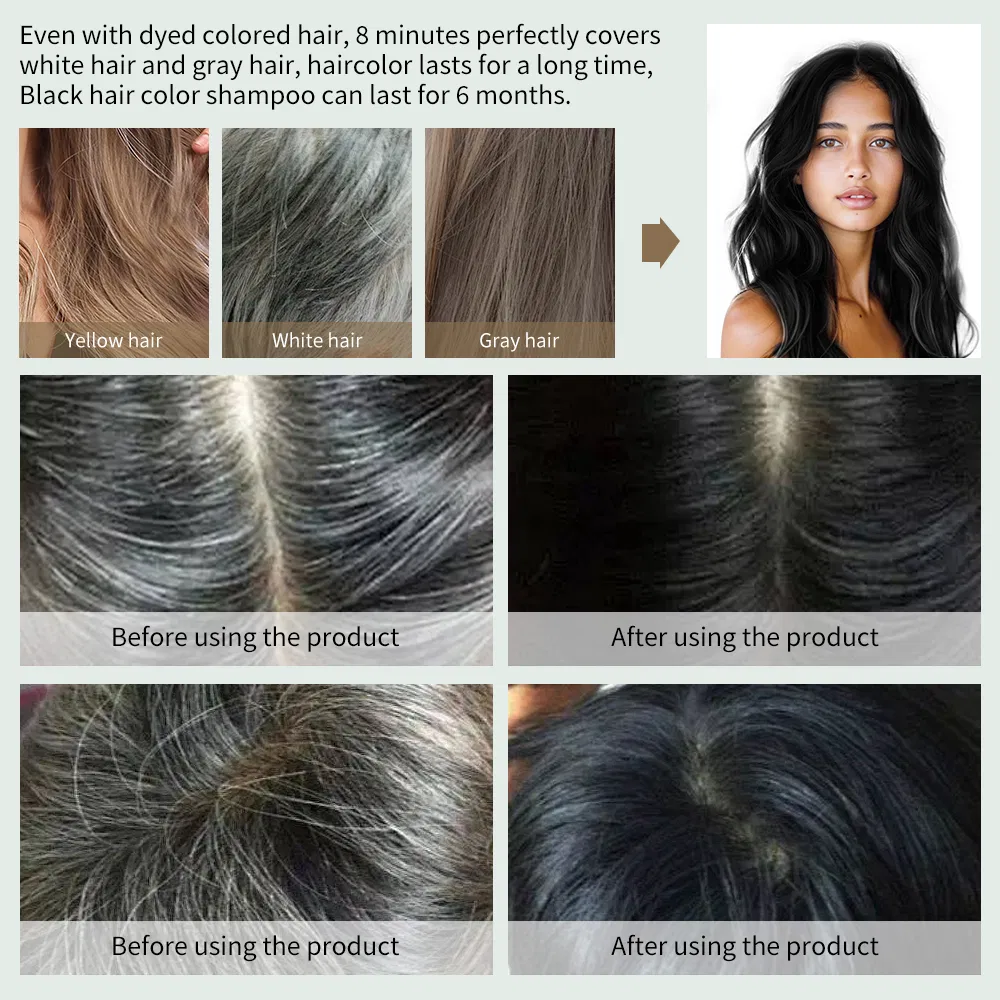400ml Custom Hair Dye Shampoo for Vibrant Hair Comb Colors