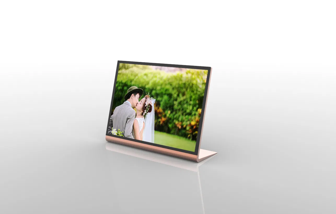 10inch Aluminium Digital Photo Frame