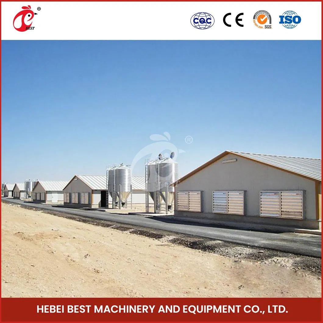 Bestchickencage Steel Poultry House China Layer Steel Chicken Cage Supplier ODM Custom Steel Structure Prefab Poultry House Poultry Farming